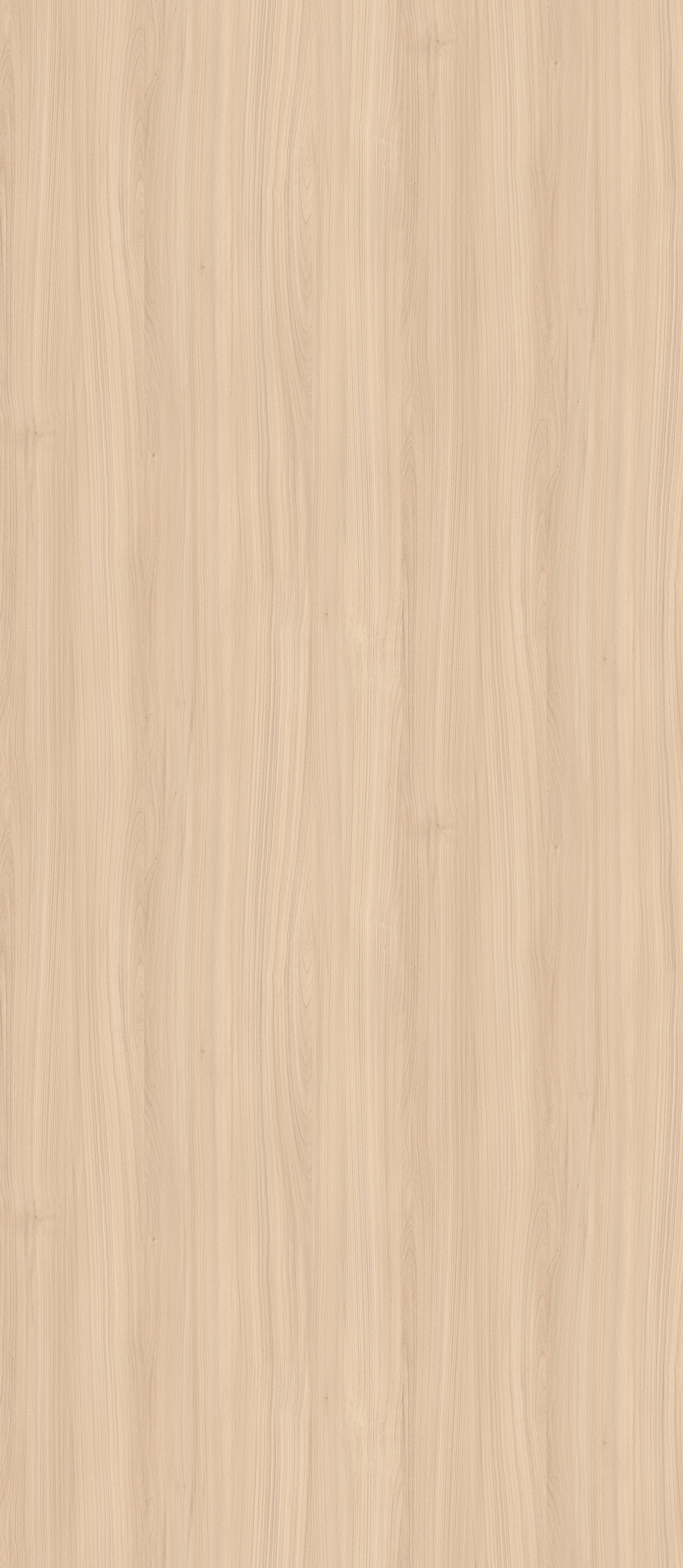 SIZE: 2800mm x 1220mm