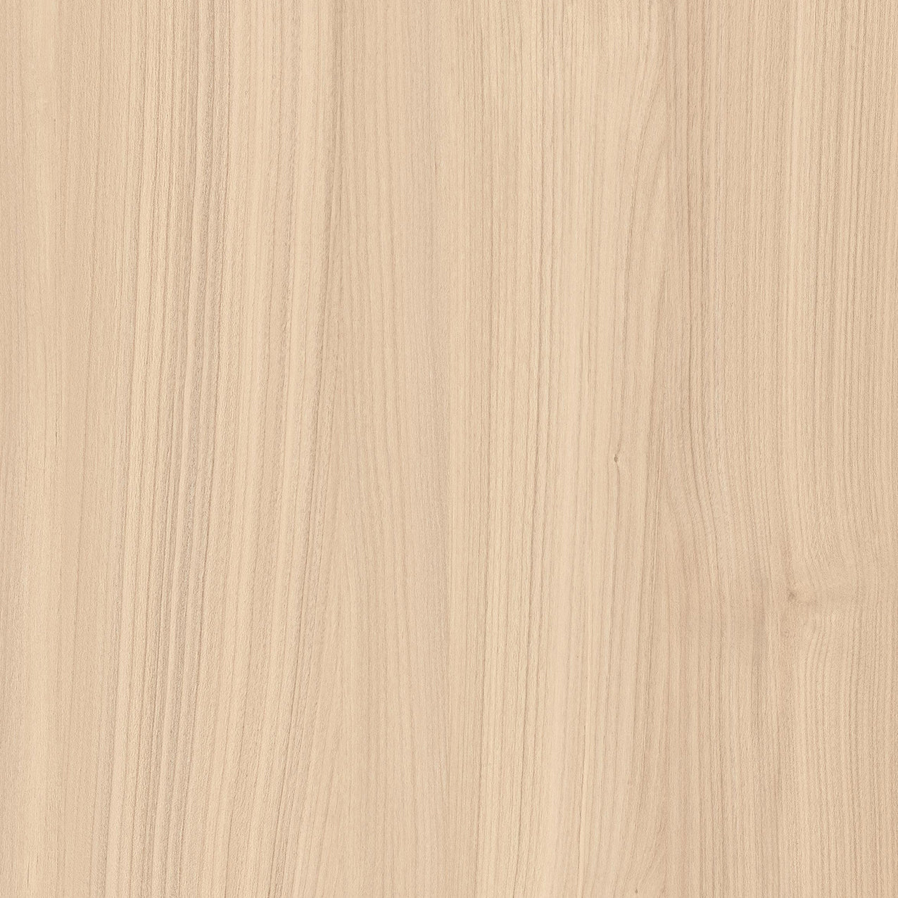 SIZE: 450mm x 450mm