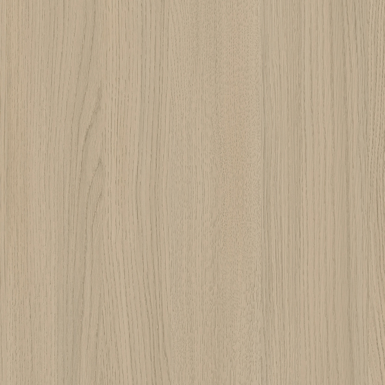 SIZE: 450mm x 450mm#
