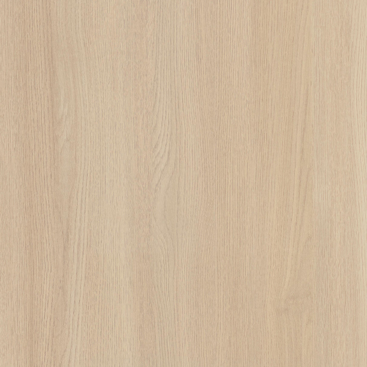 SIZE: 450mm x 450mm