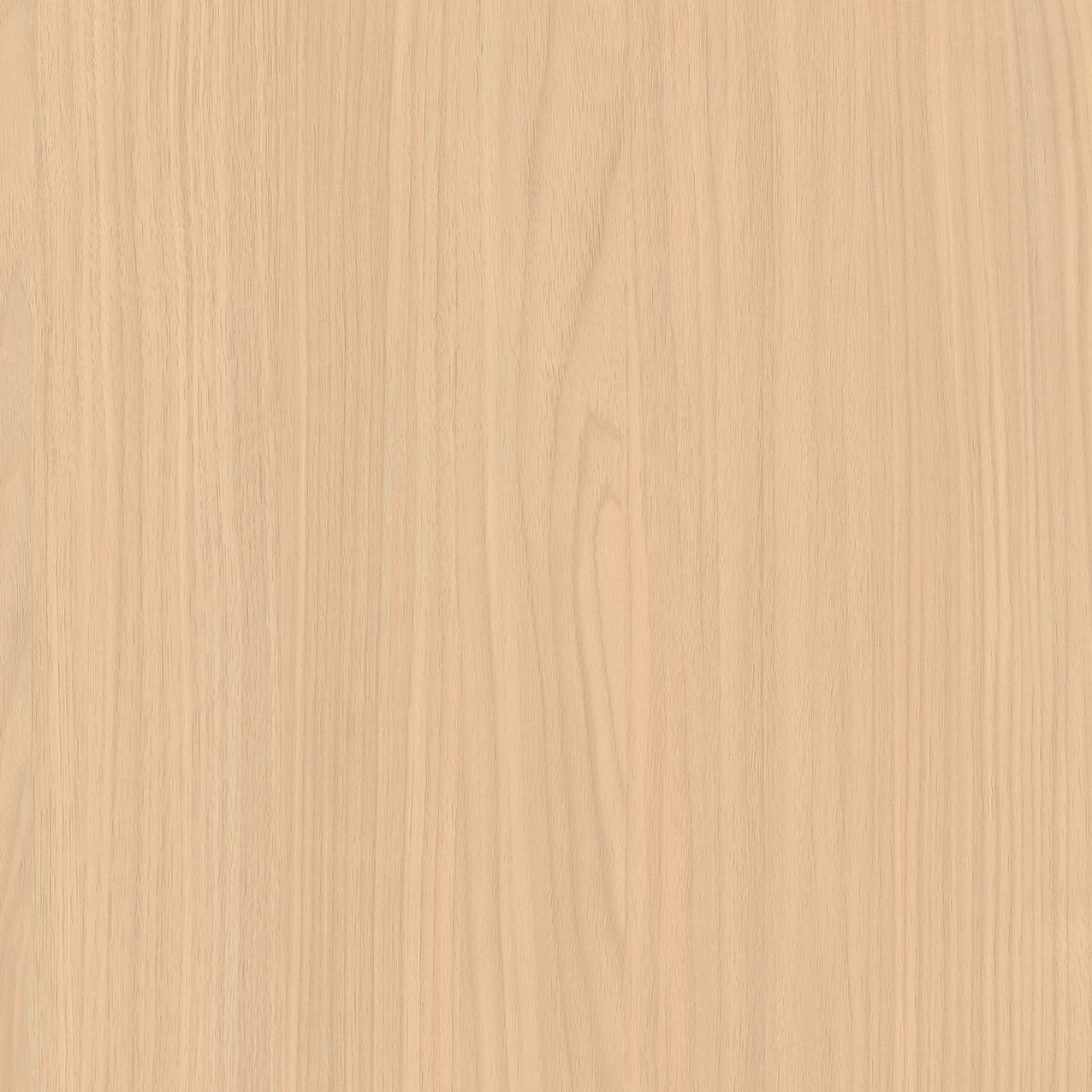 SIZE: 450mm x 450mm