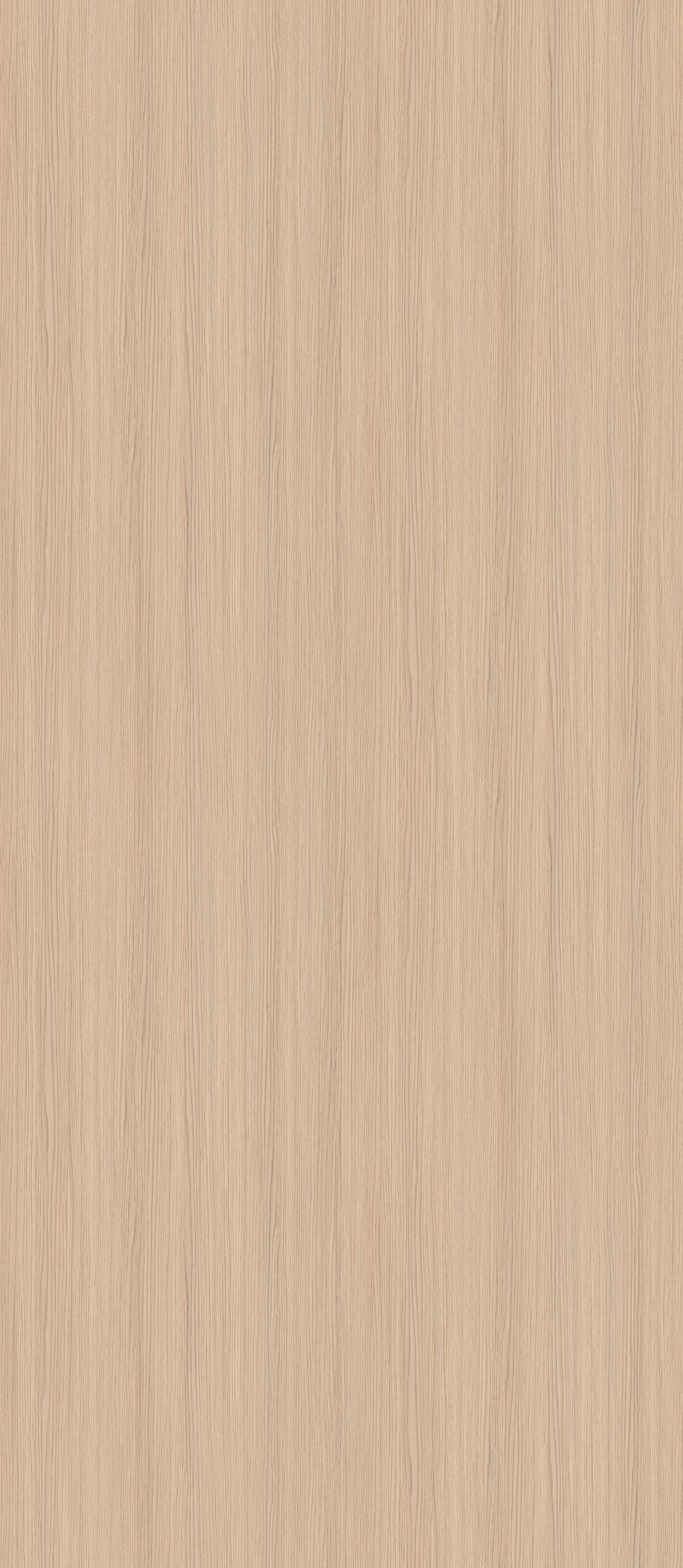 SIZE: 2800mm x 1220mm
