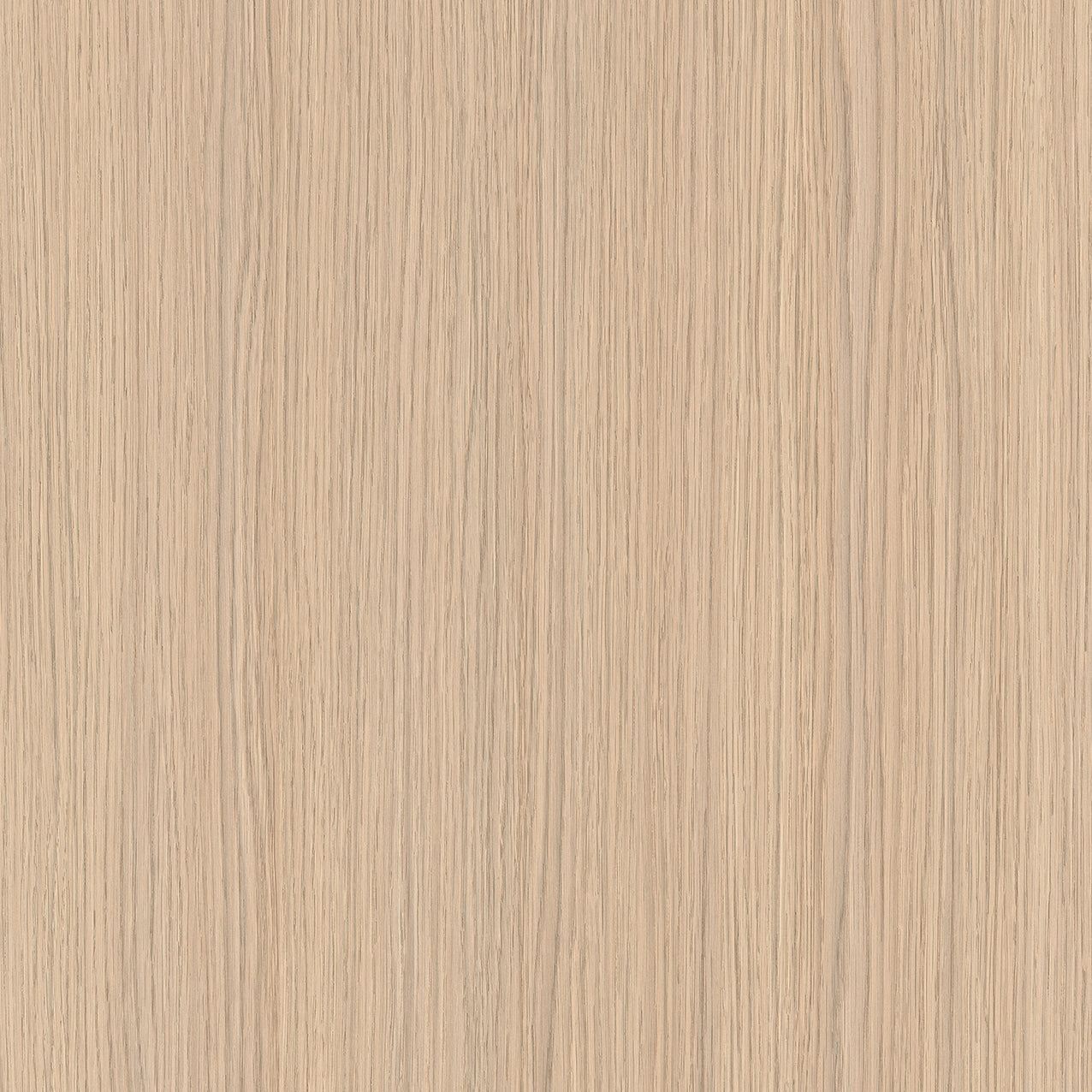 SIZE: 450mm x 450mm
