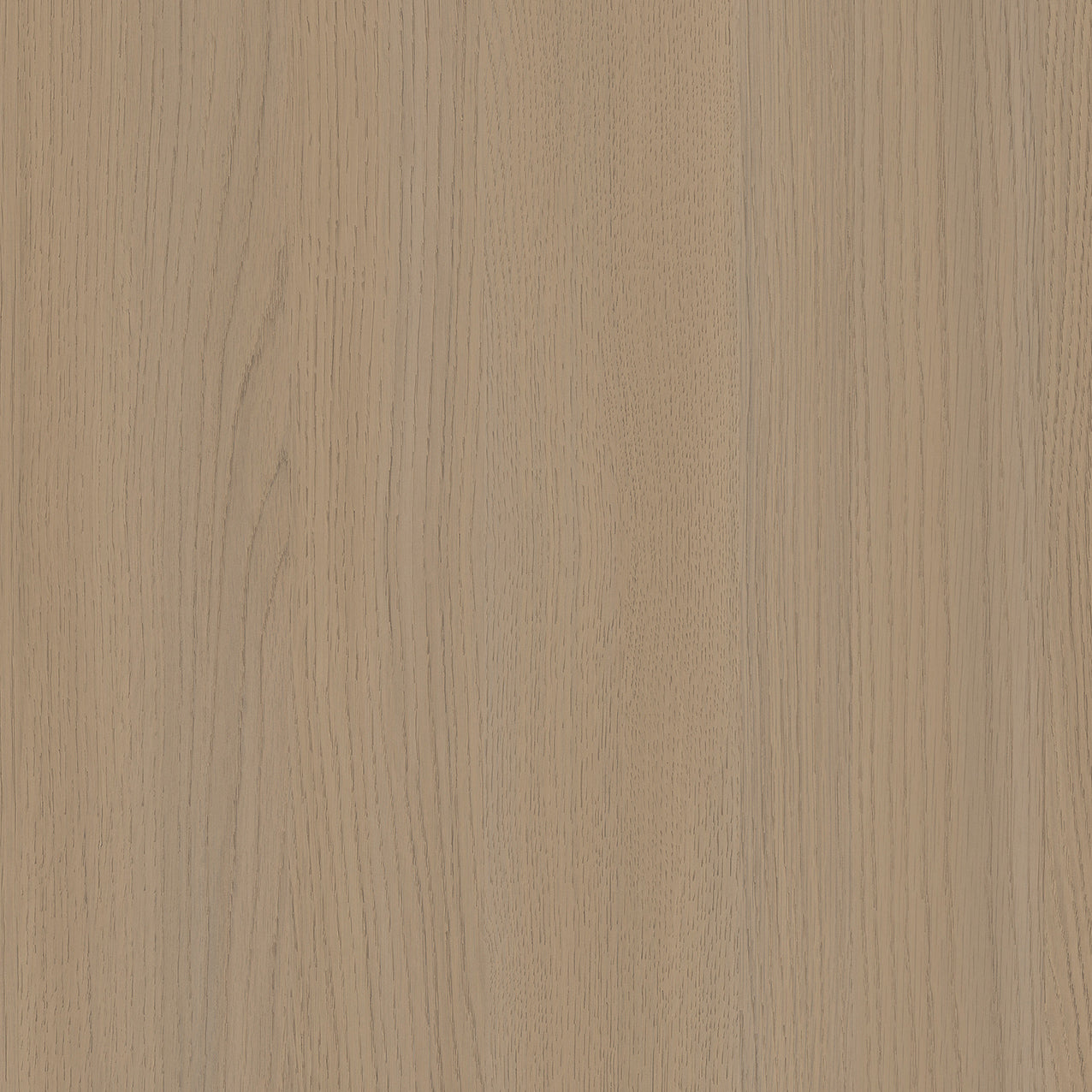 SIZE: 450mm x 450mm