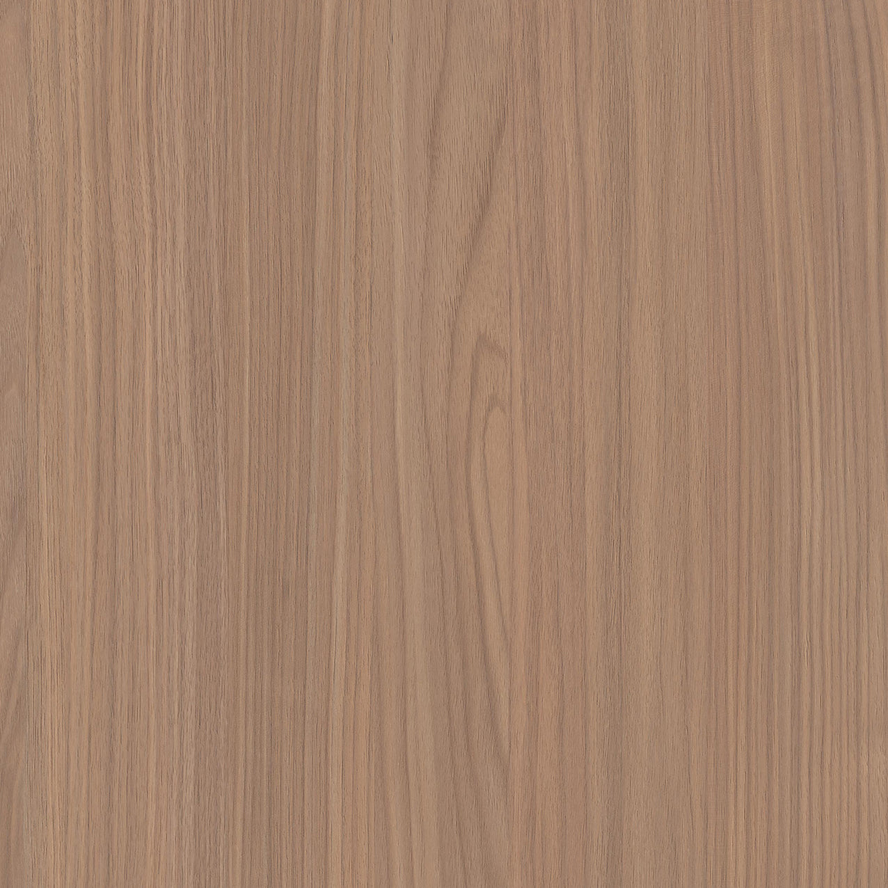 SIZE: 450mm x 450mm