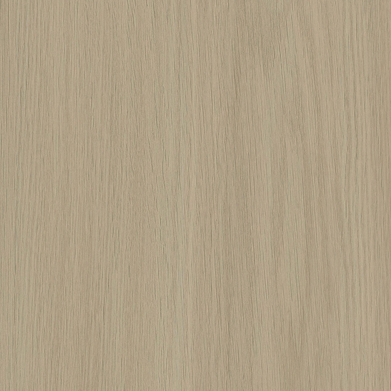 SIZE: 450mm x 450mm