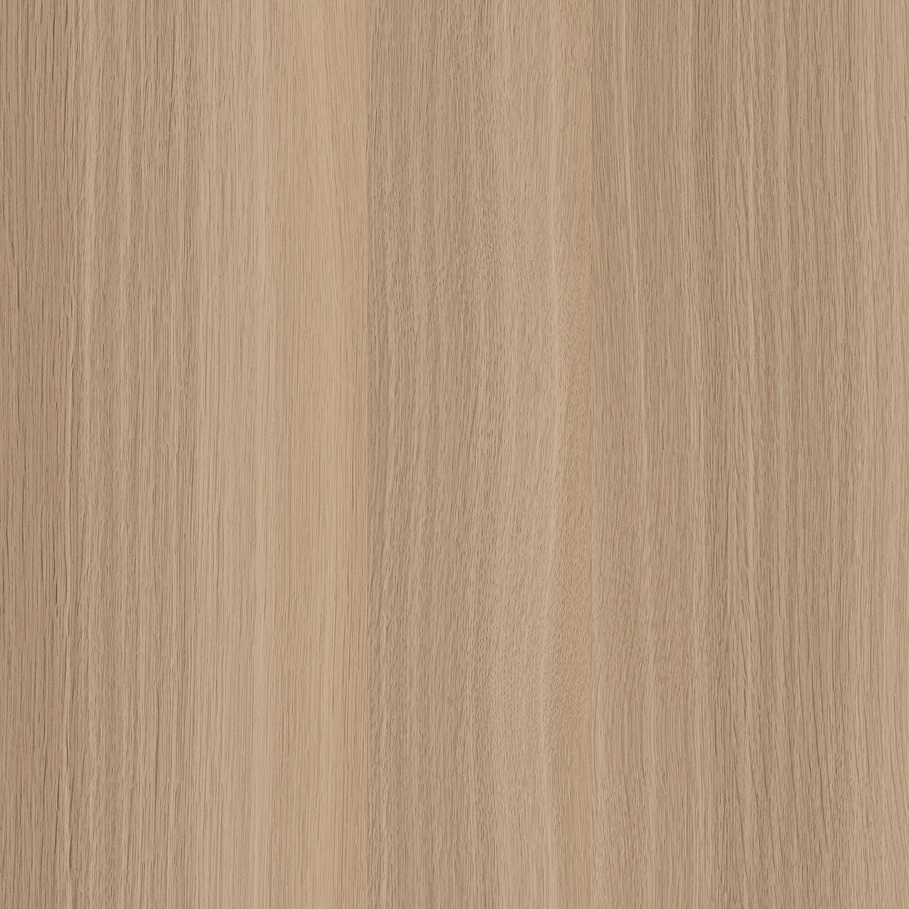 SIZE: 450mm x 450mm