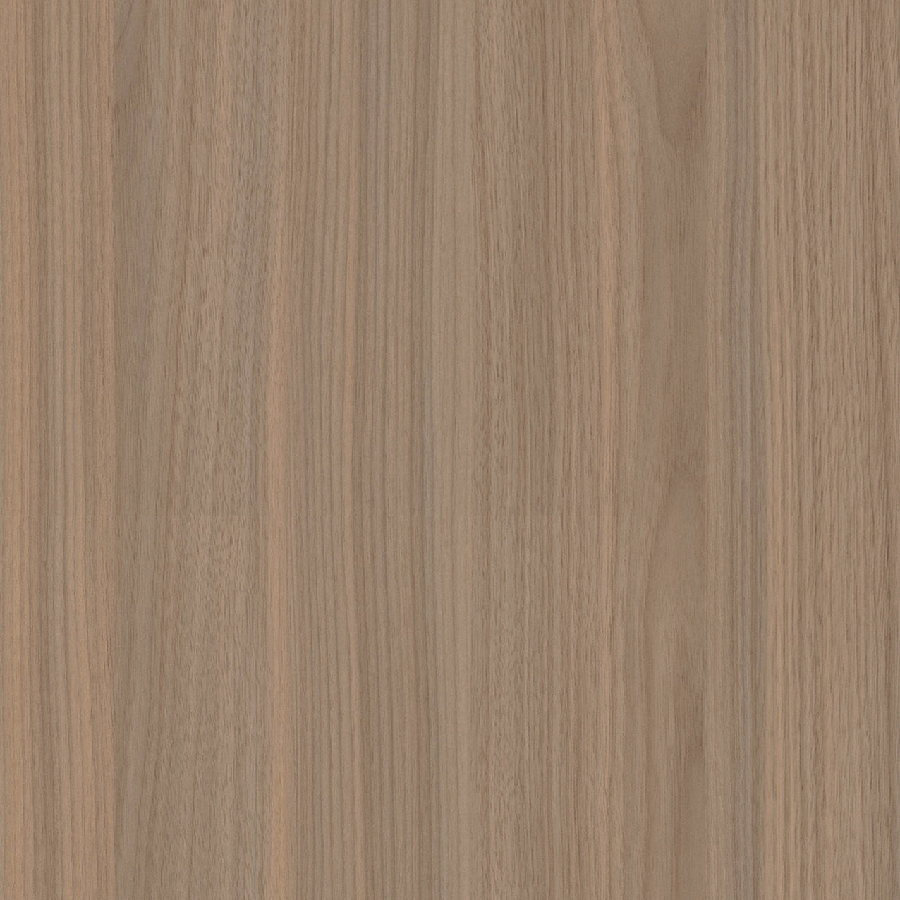 SIZE: 450mm x 450mm