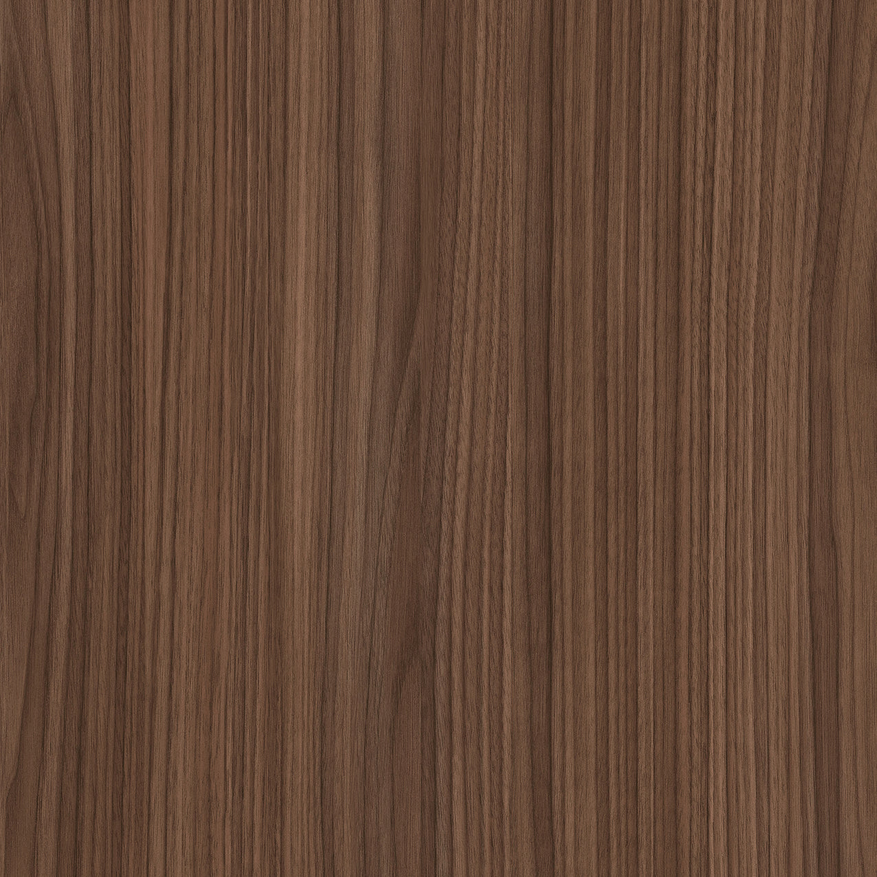 SIZE: 450mm x 450mm