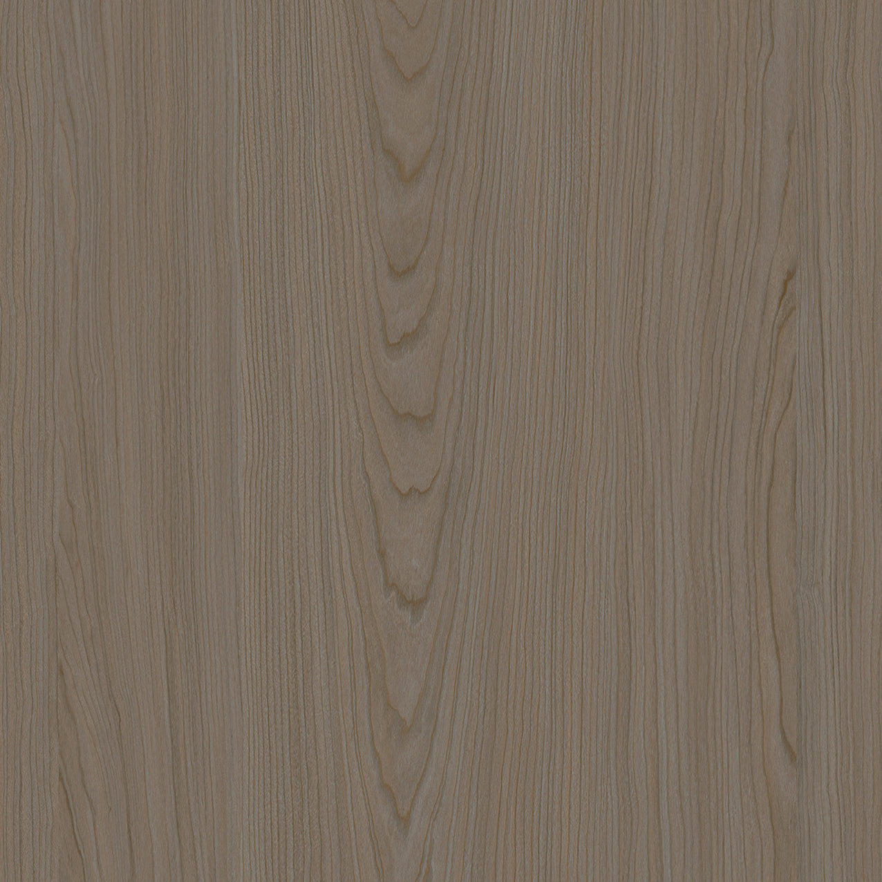 SIZE: 450mm x 450mm