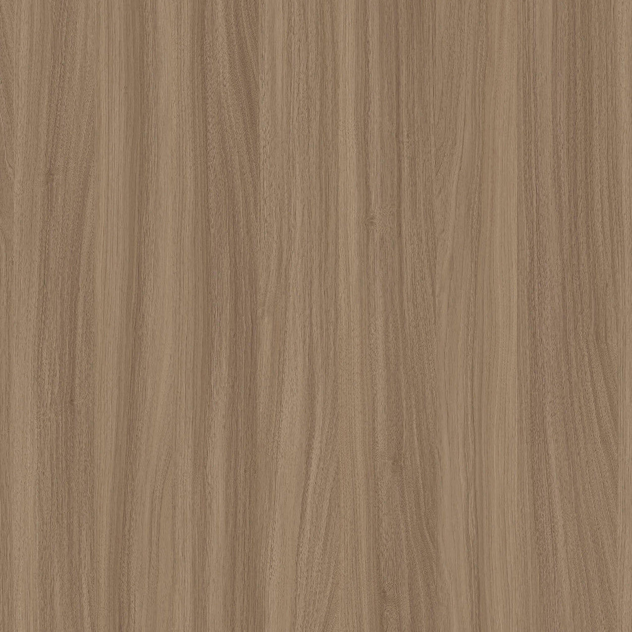 SIZE: 450mm x 450mm#