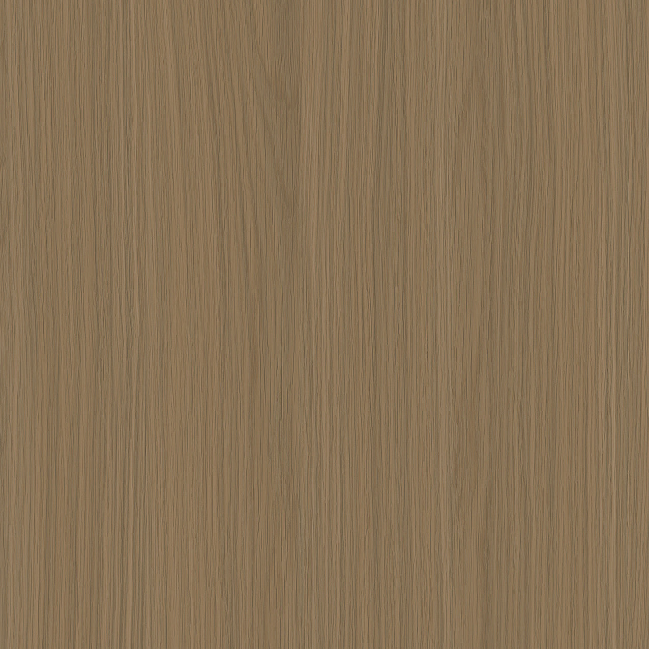 SIZE: 450mm x 450mm