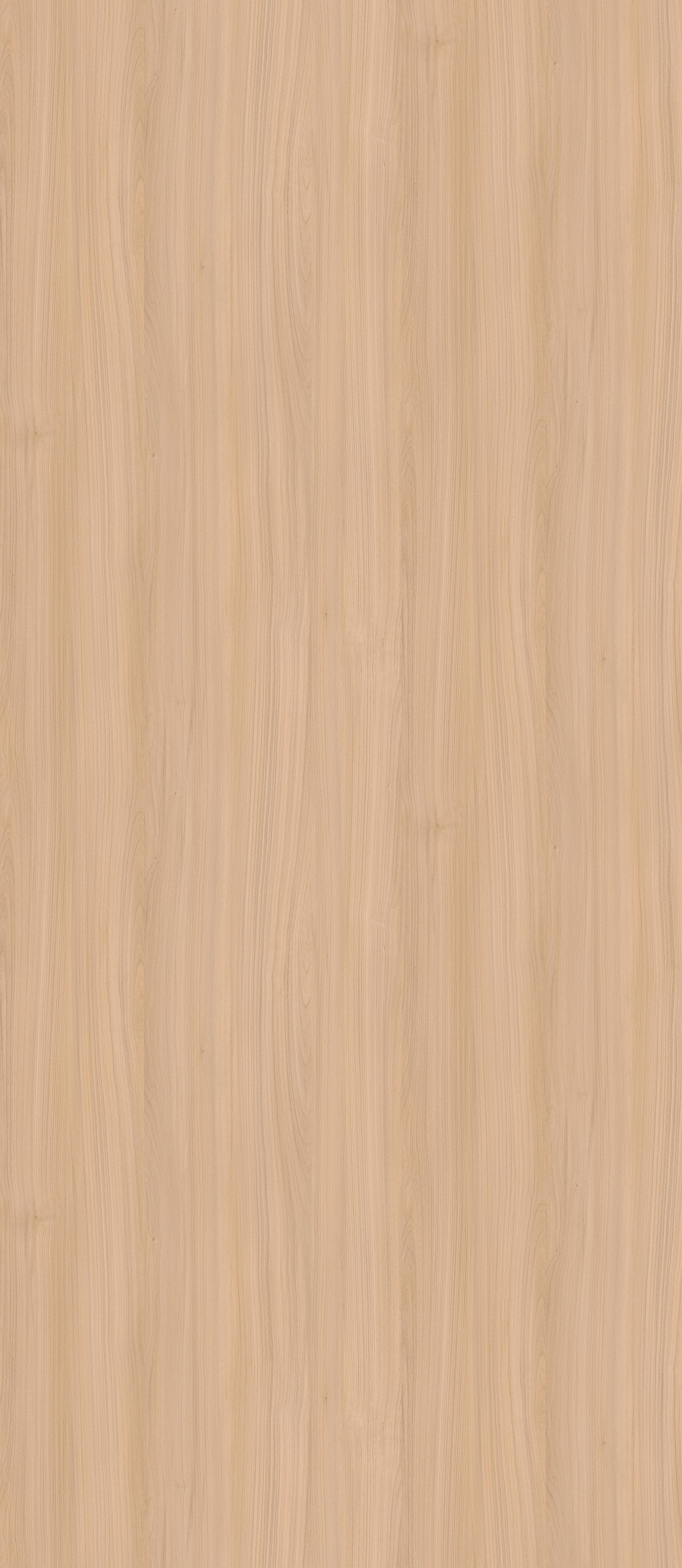 SIZE: 2800mm x 1220mm
