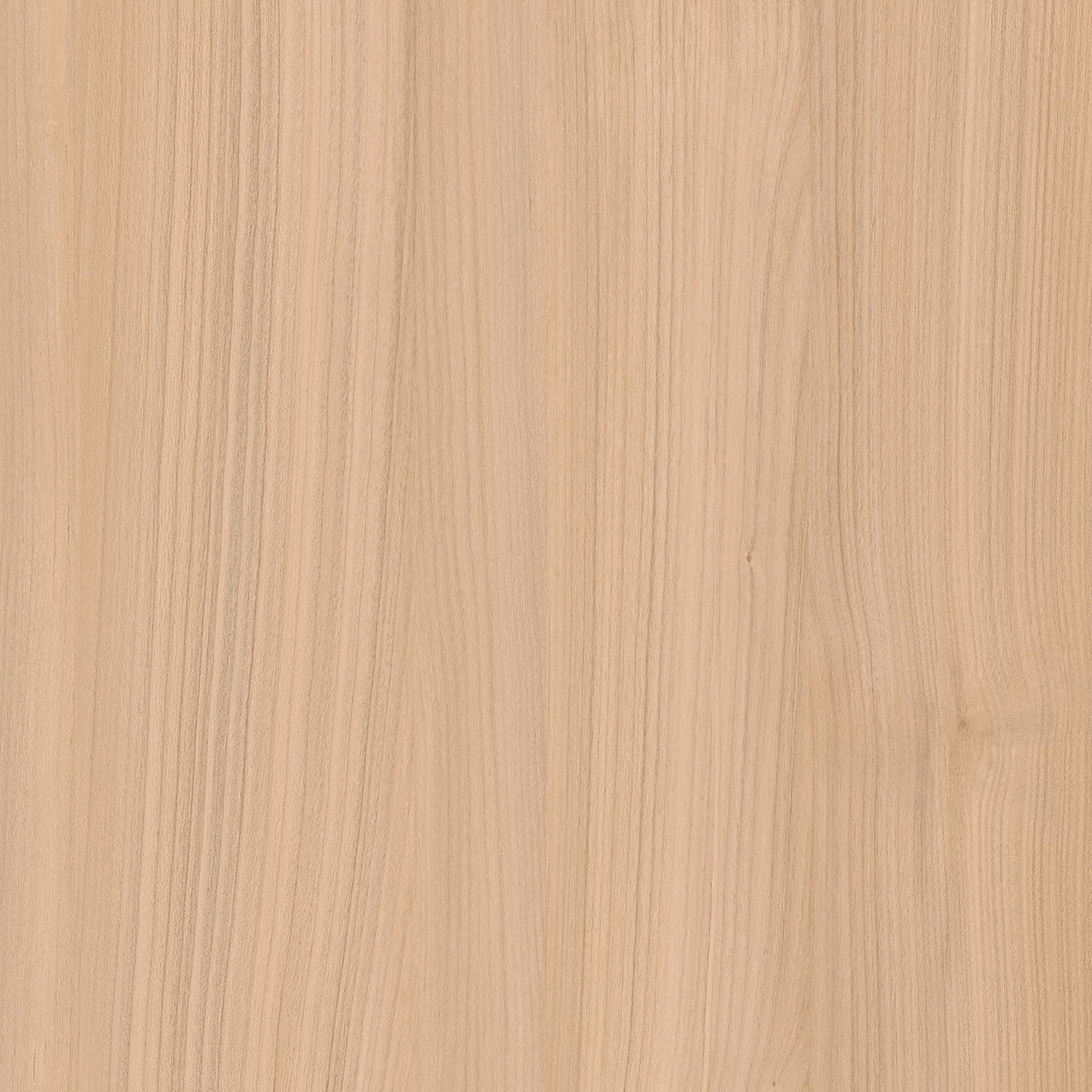 SIZE: 450mm x 450mm#