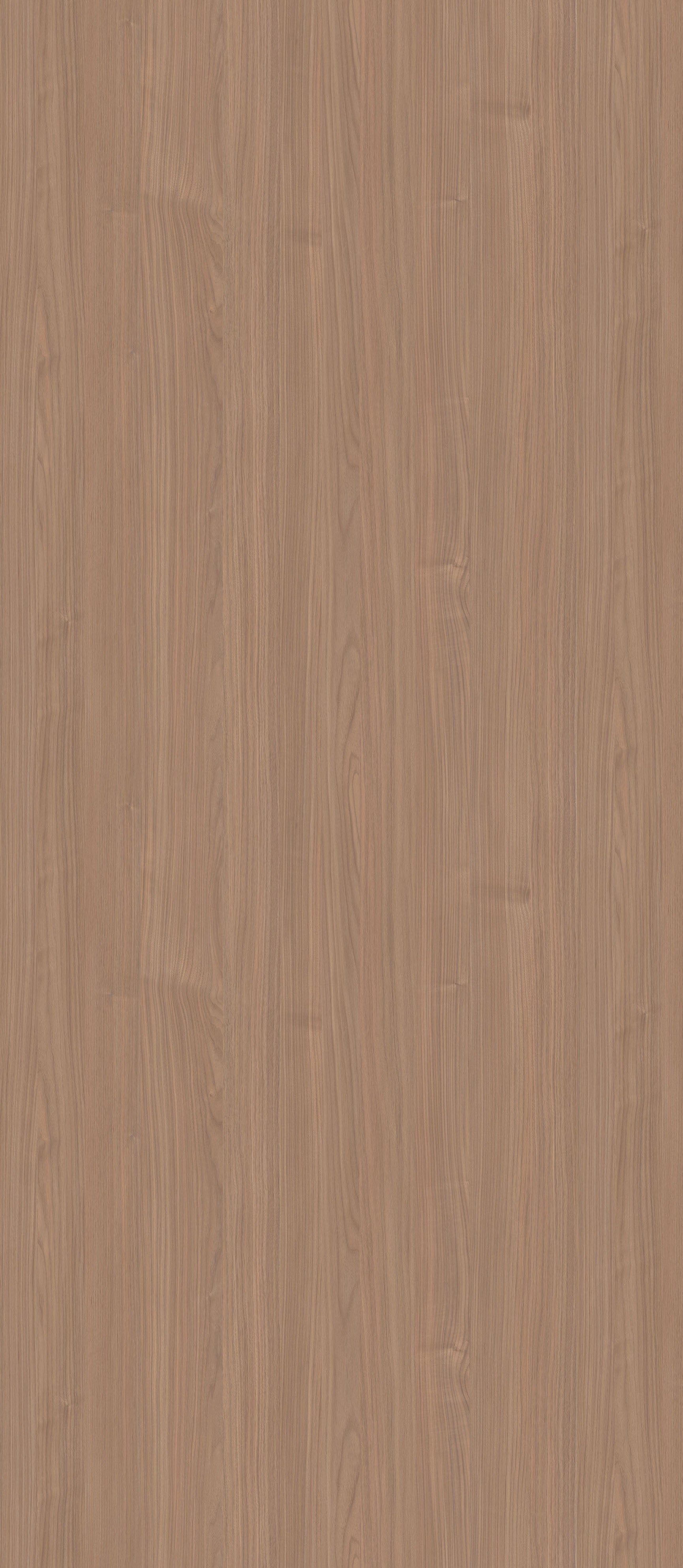 SIZE: 2800mm x 1220mm