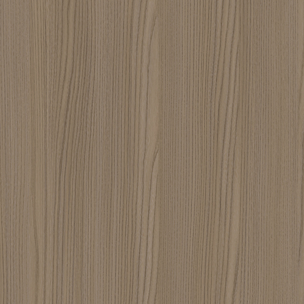 linear elm sample