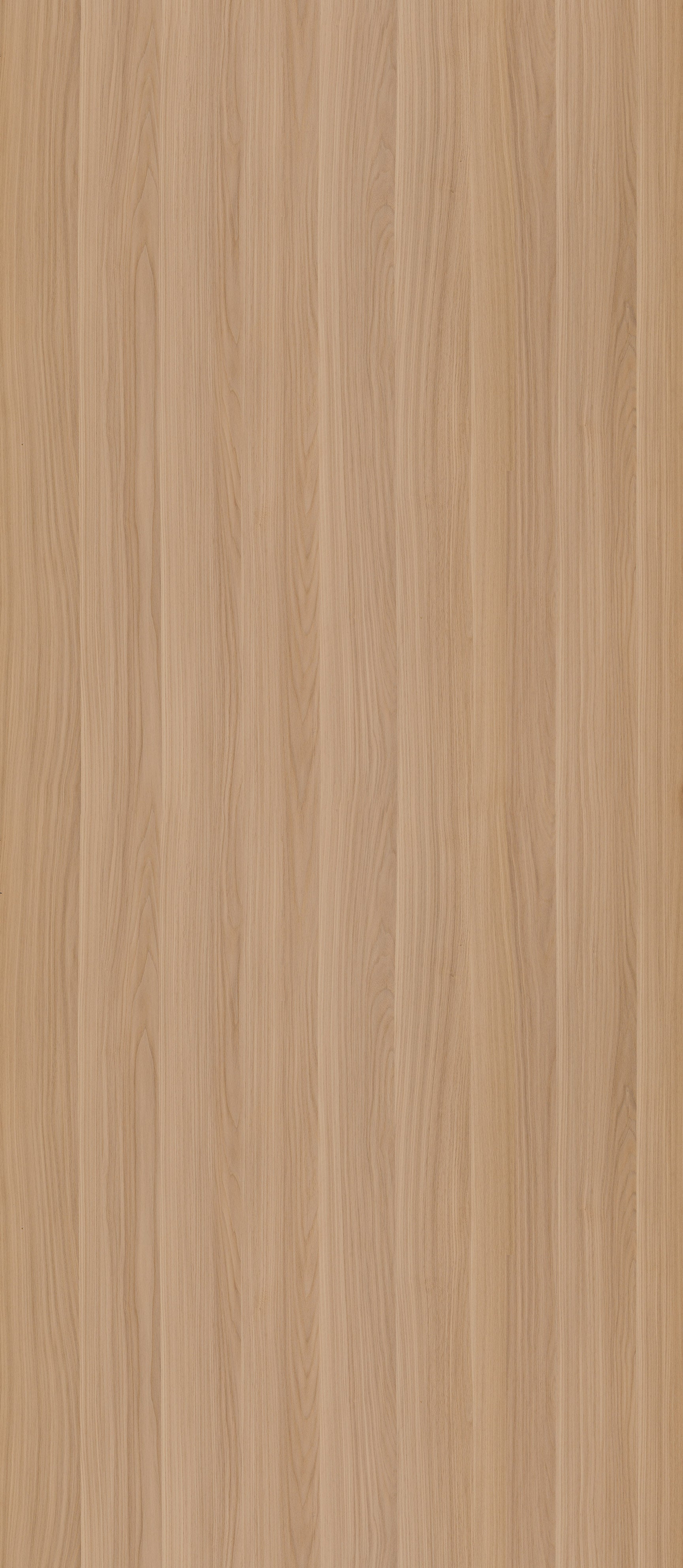 SIZE: 2800mm x 1220mm