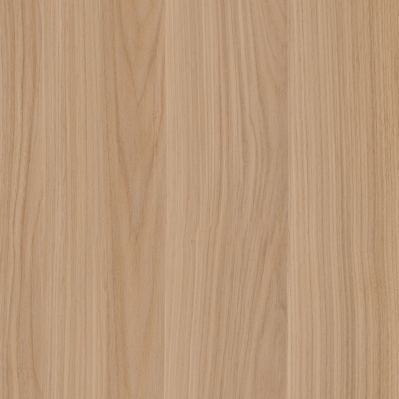 SIZE: 450mm x 450mm#