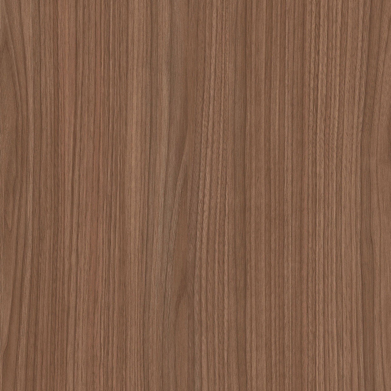 SIZE: 450mm x 450mm#