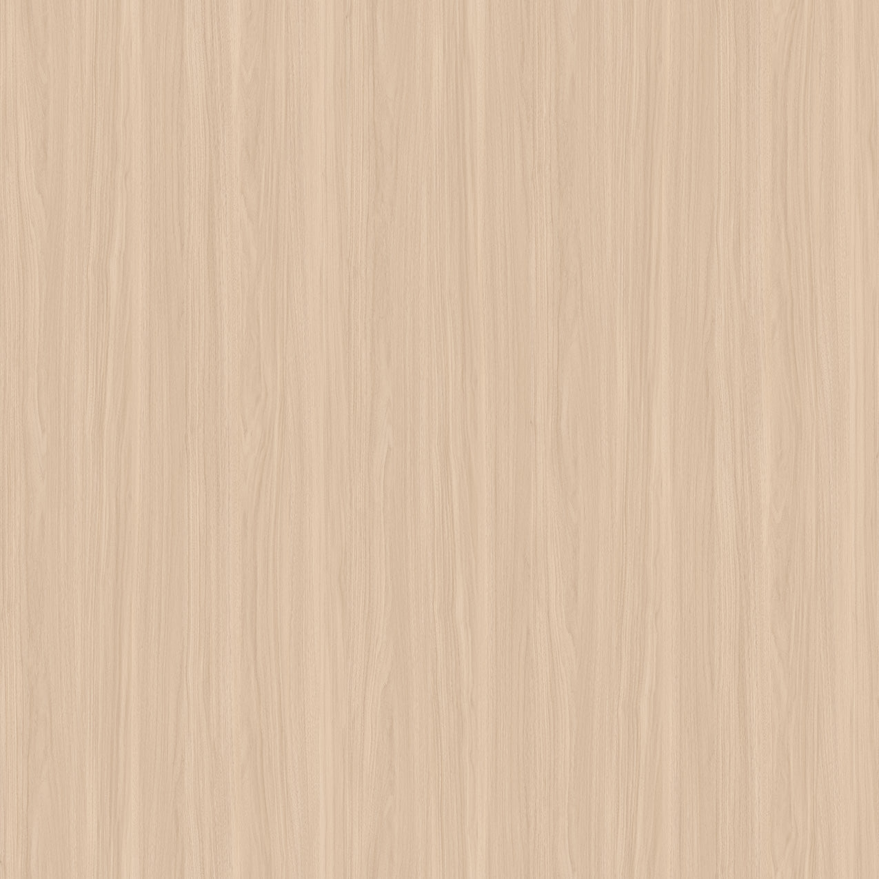 SIZE: 450mm x 450mm