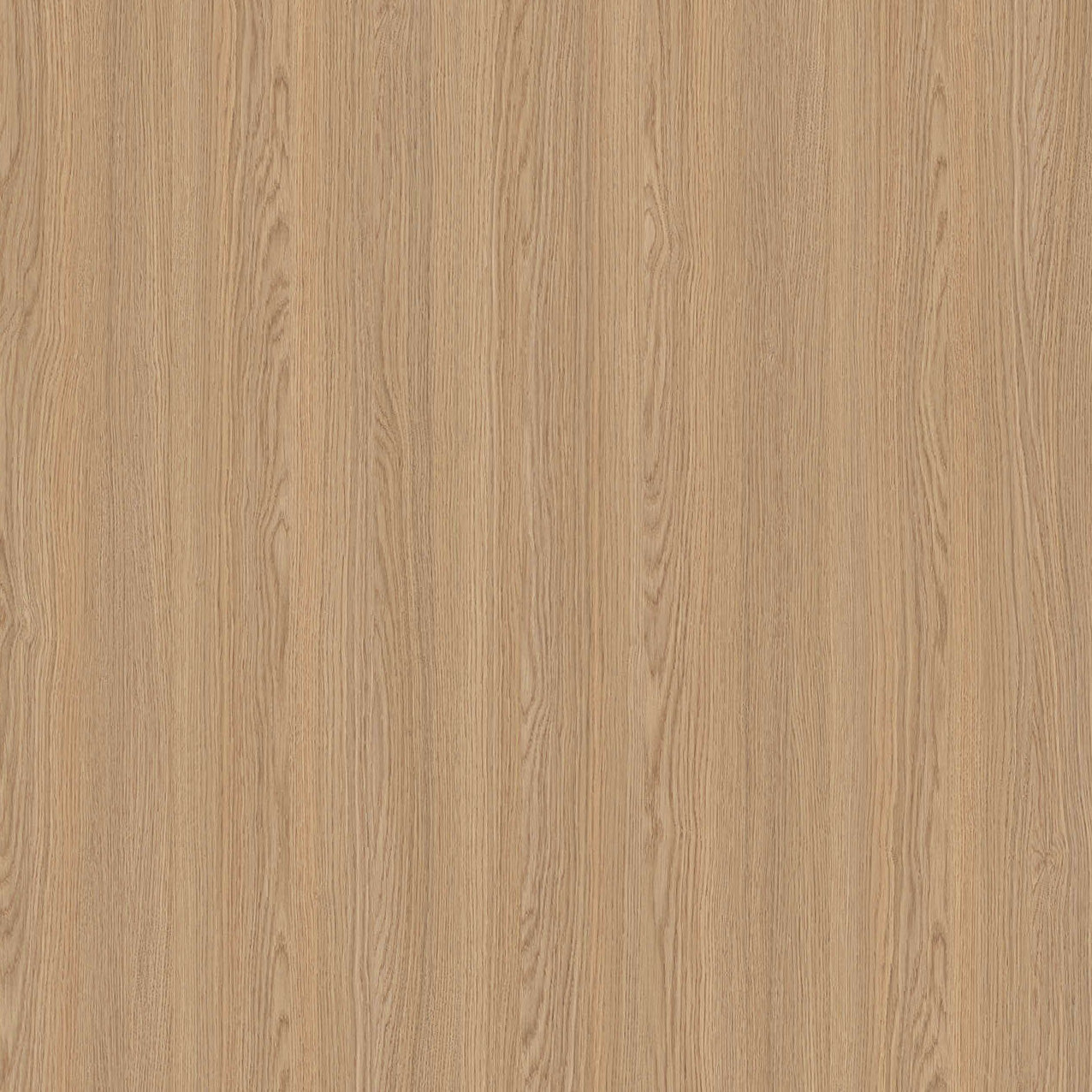 SIZE: 450mm x 450mm#