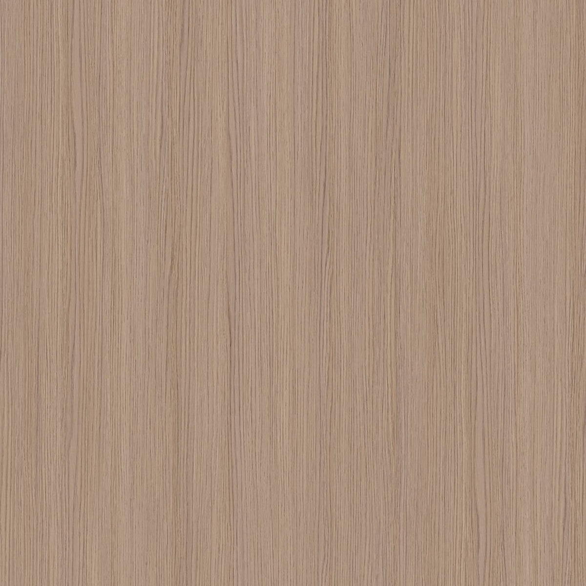 sandalwood oak sample