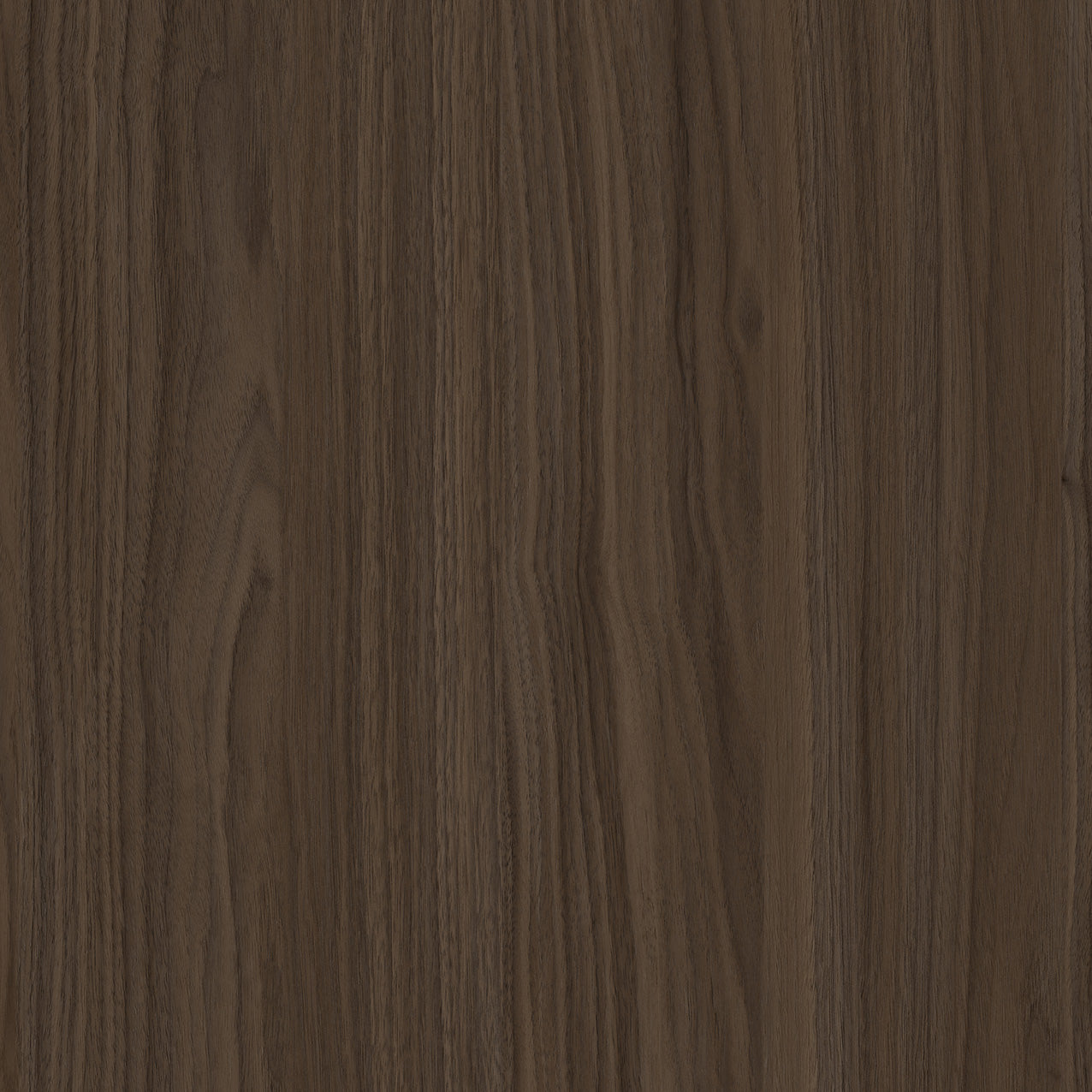 SIZE: 450mm x 450mm