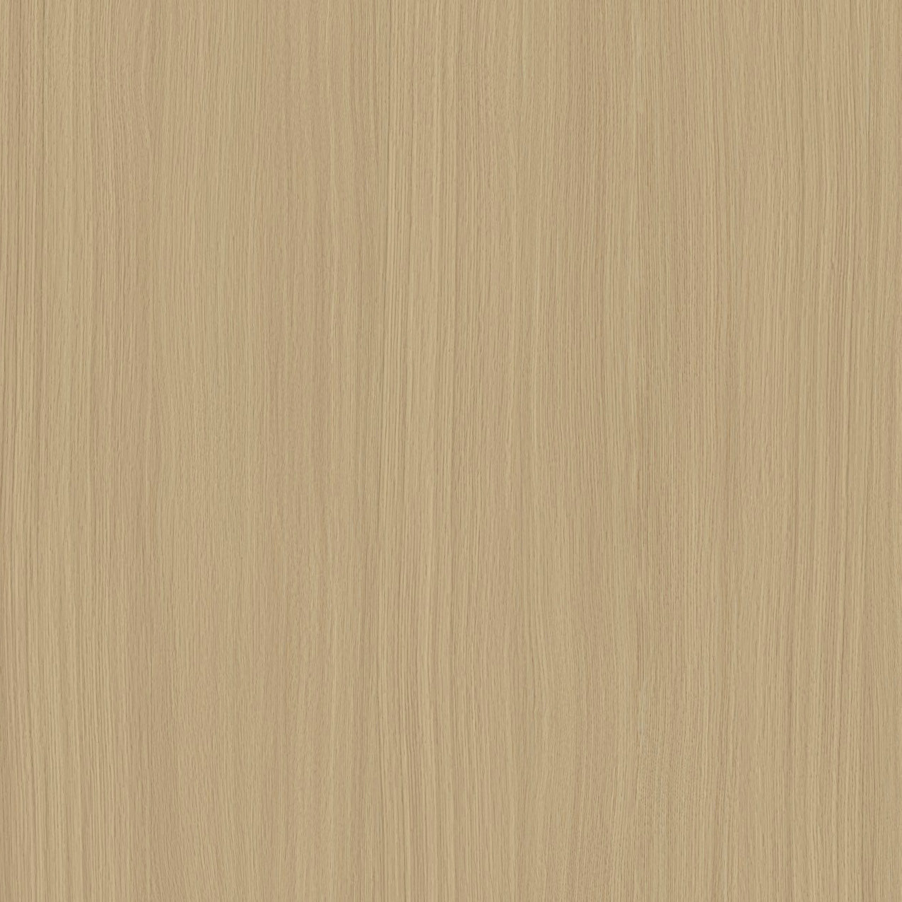 SIZE: 450mm x 450mm#