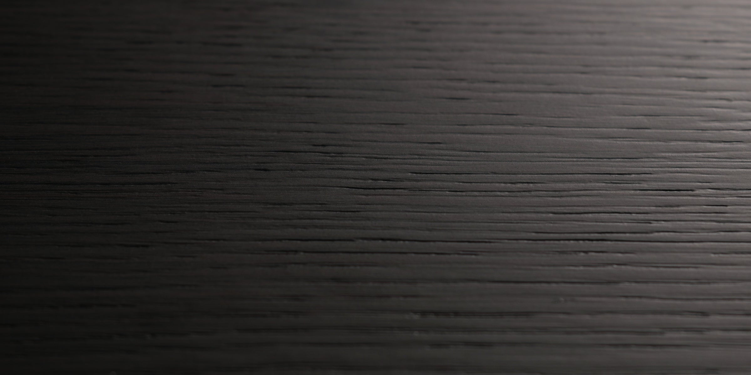 Volga Elm