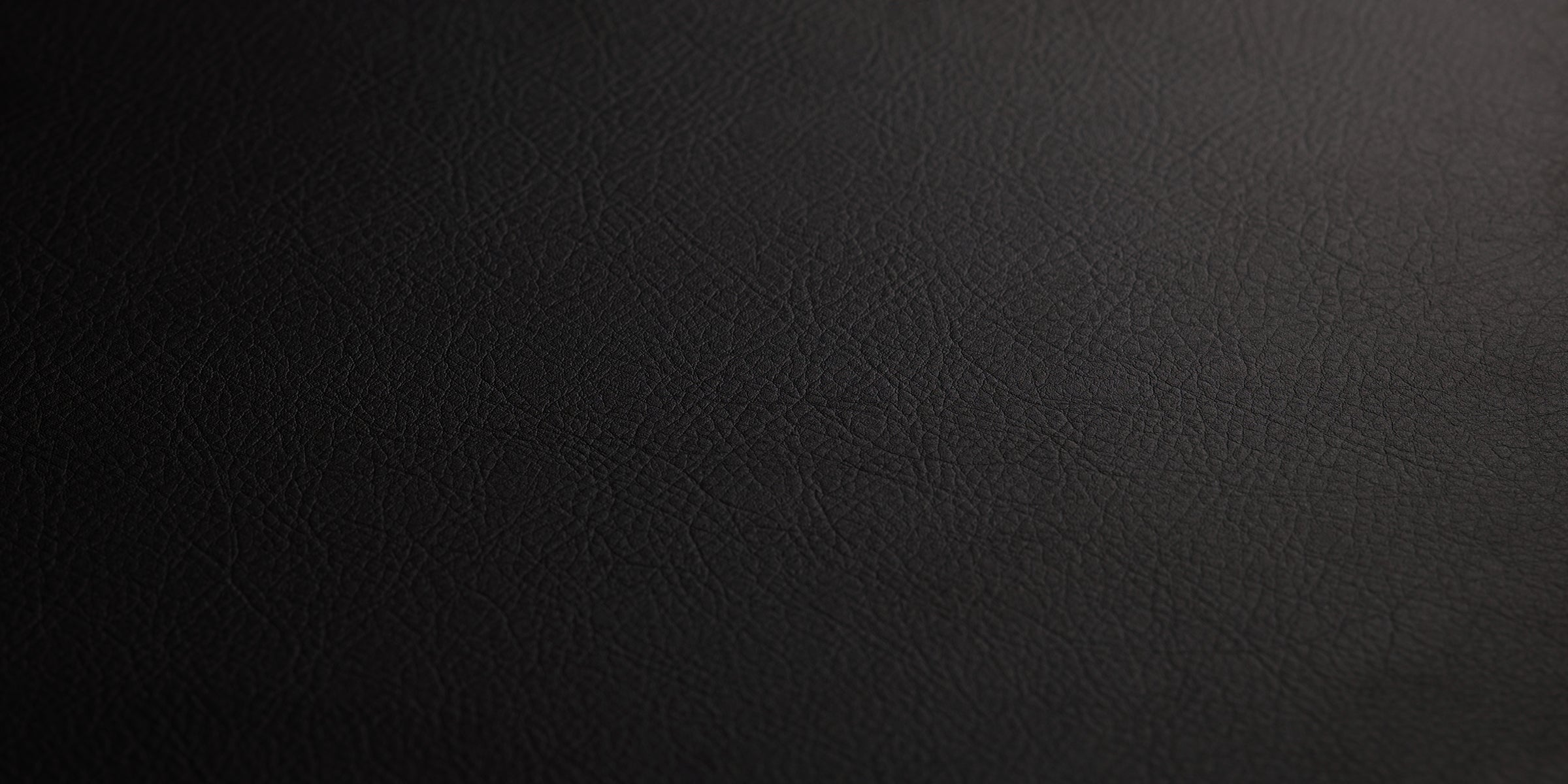 Black Calfskin