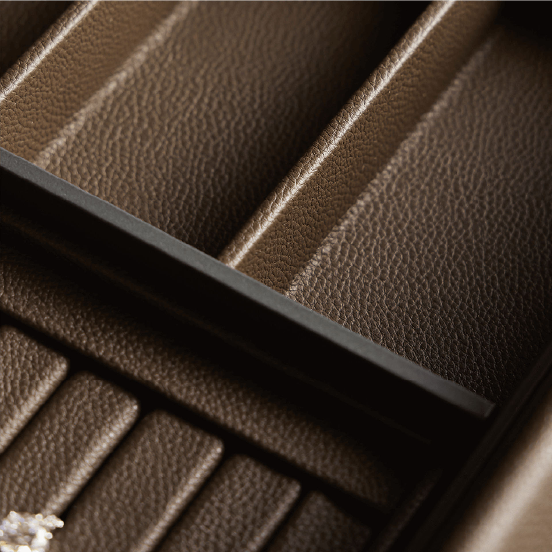 [BASISTEM] LUGANO Jewelry Organizer Drawer