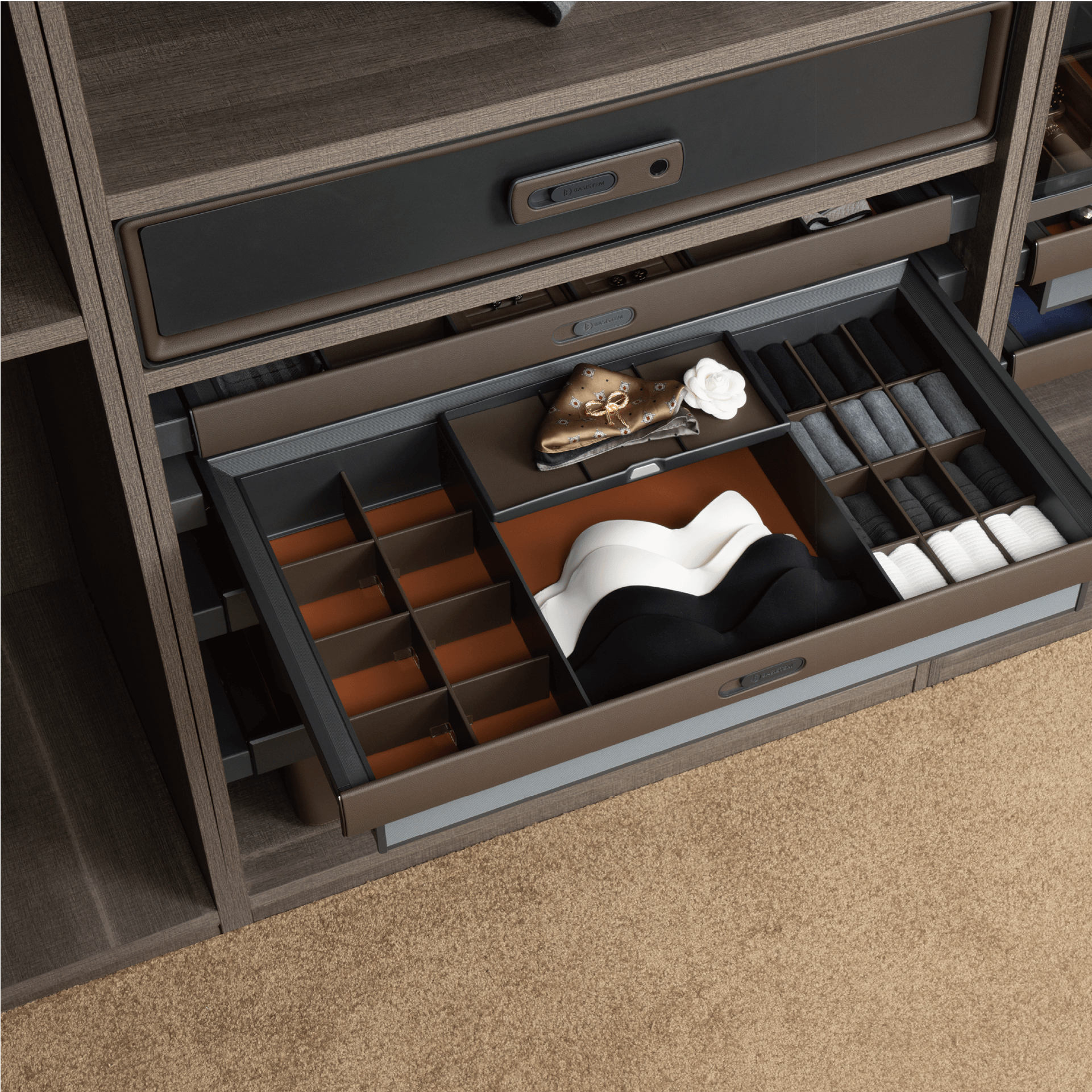 [BASISTEM] LUGANO Lingerie Organizer Drawer